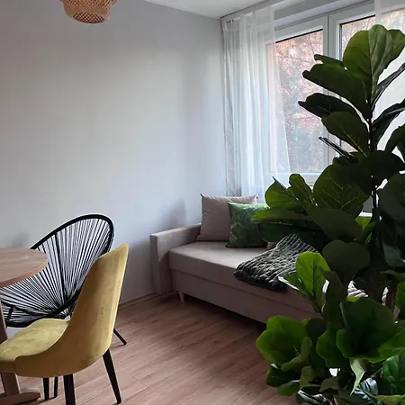 Urban Jungle Sanctuary- Designerski Blisko Starego Miasta By Avalon Atelier 格但斯克